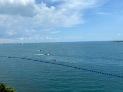 The Oceanfront @ Sentosa Cove (D4), Condominium #288260461